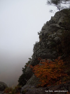 qua Rocca19-11-2017 16-16-50